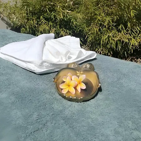 Amour - Gite Luxe 4 Etoiles -Douce Harmonie Massages & Spa 5 Places -Cocon Discret Insolite Sans Vis A Vis En Toute Serenite - 5 Min Carcassonne Villemoustaussou Exterior photo