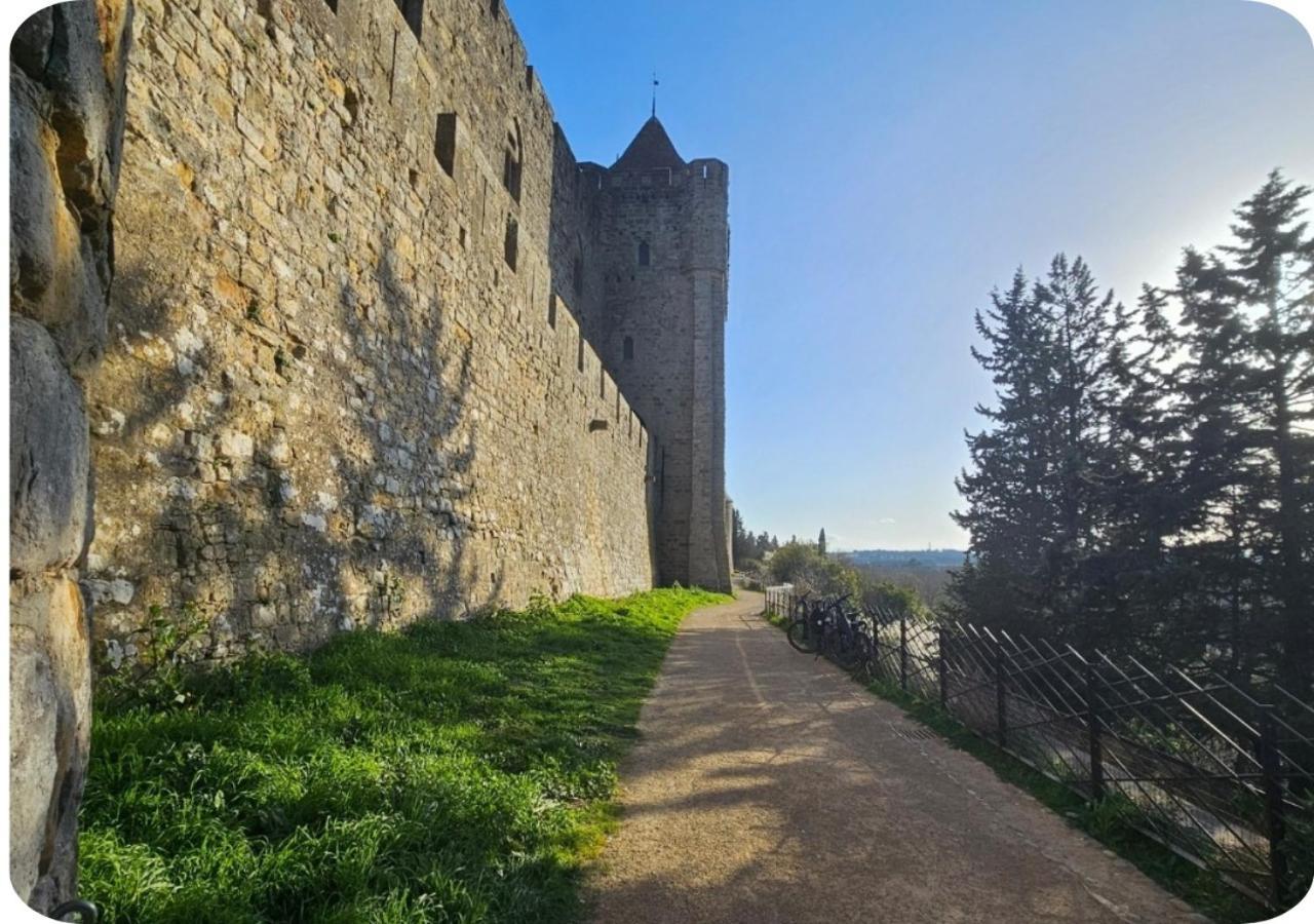 - Luxe 4 Etoiles -douce Harmonie Massages & 5 Places -cocon Discret Insolite Sans Vis A Vis En Toute Serenite - 5 Min Carcassonne Ferienhaus Villemoustaussou